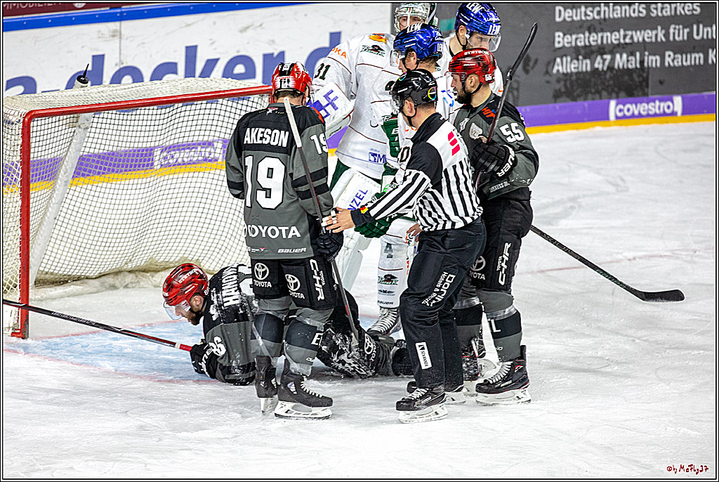 DEL; Koelner Haie - Augsburger Panther, 14.11.2018